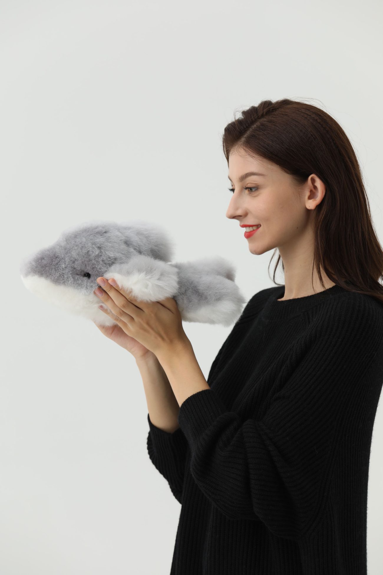 DOLPHIN - Warmpaca - Image 3