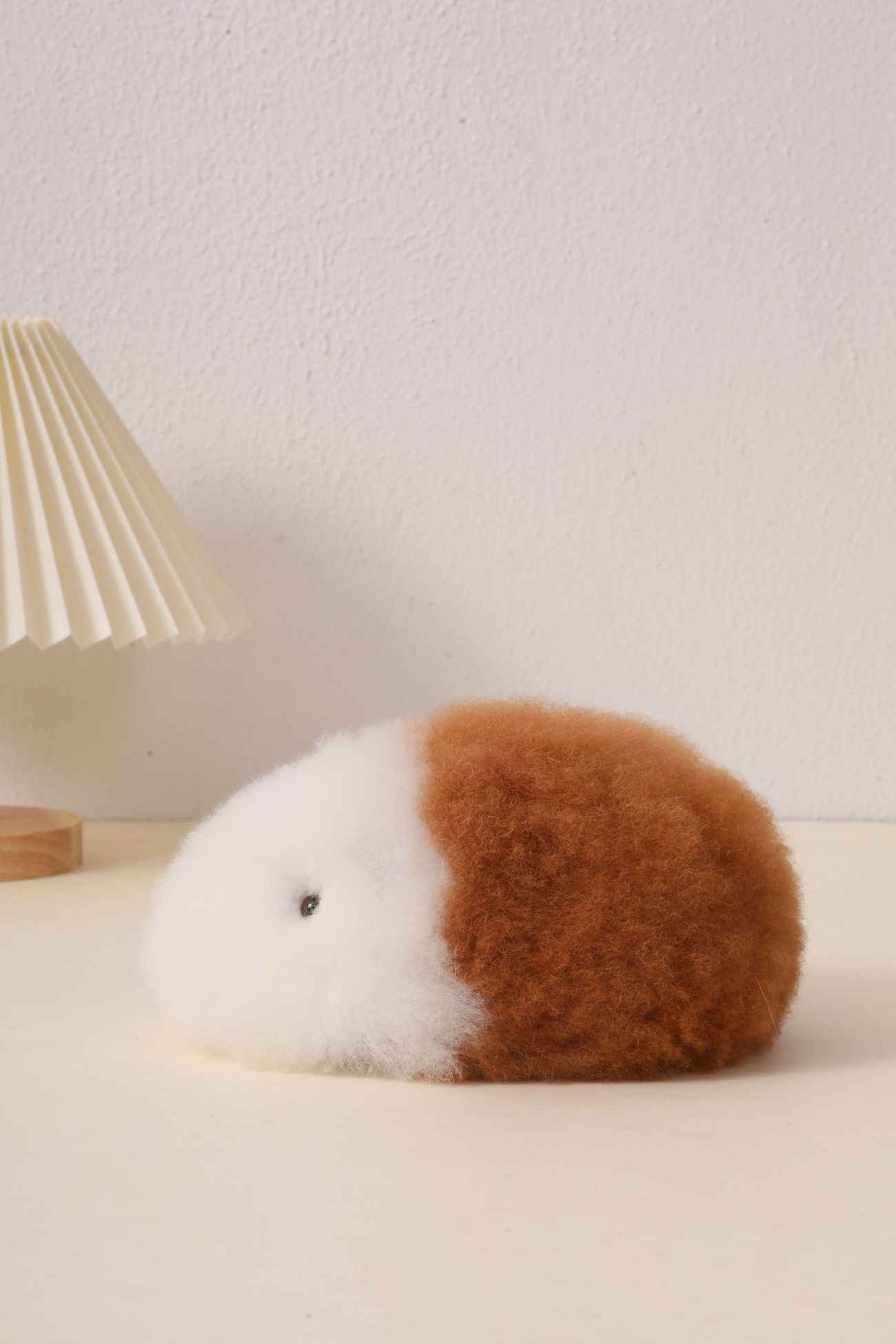 GUINEA PIG - Warmpaca - Image 2