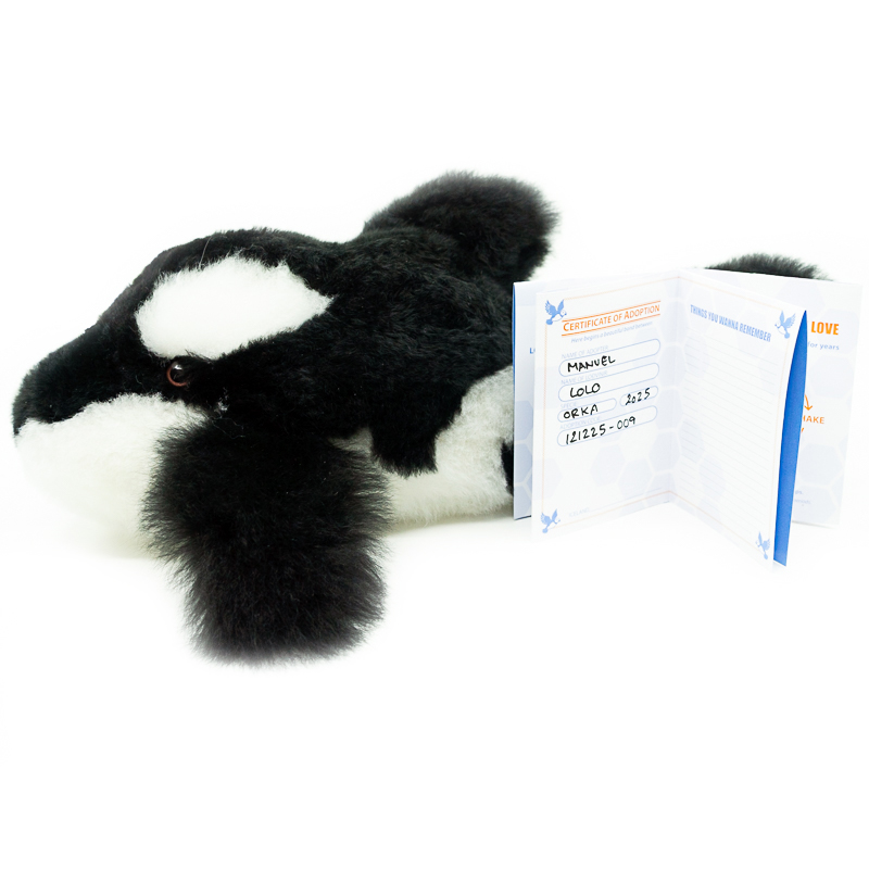 Háhyrningur | Handmade Collectible Figure – Orca - Image 2