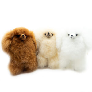 Poodle Dog - Warmpaca