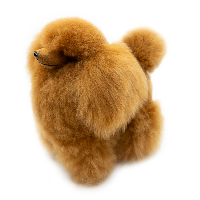 Poodle Dog - Warmpaca - Image 3