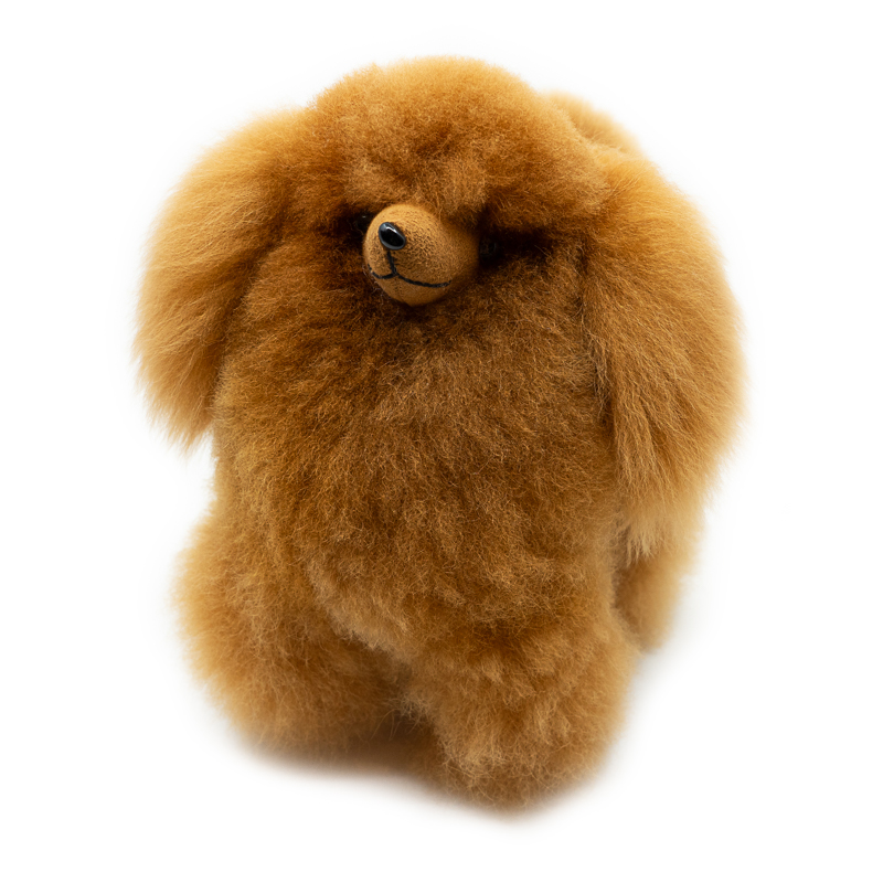 Poodle Dog - Warmpaca - Image 7