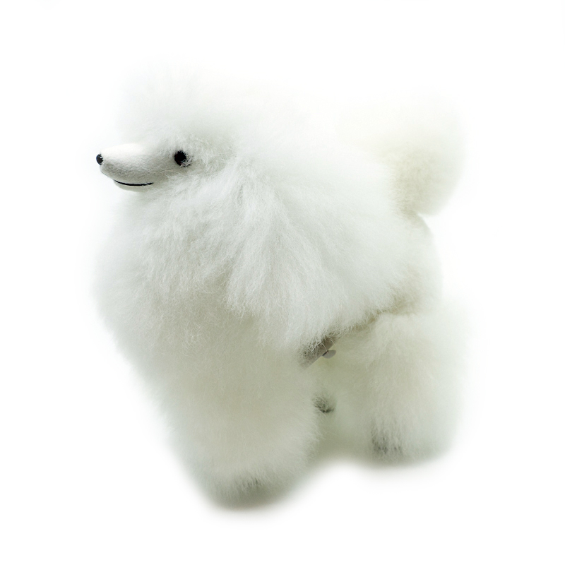 Poodle Dog - Warmpaca - Image 4