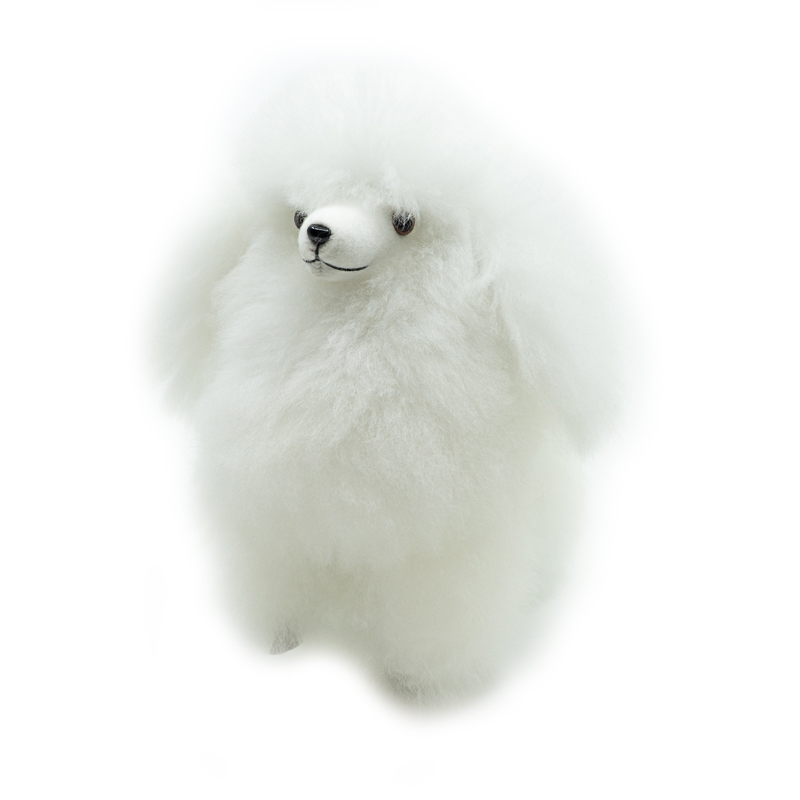 Poodle Dog - Warmpaca - Image 5