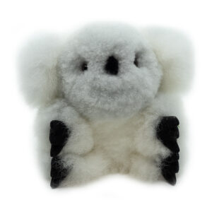 Koala - Warmpaca