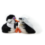 Forever Together Pack | 2 Fluffy Puffins + Accesories