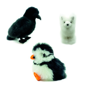 Icelandic Wildlife